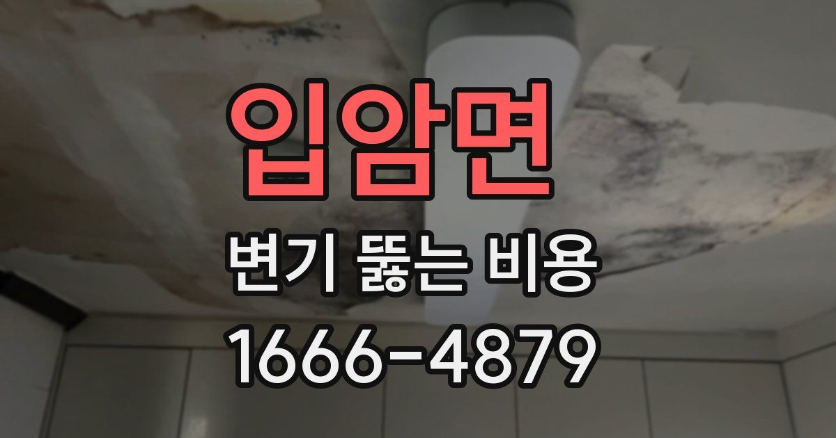 입암면 변기 뚫는 비용
