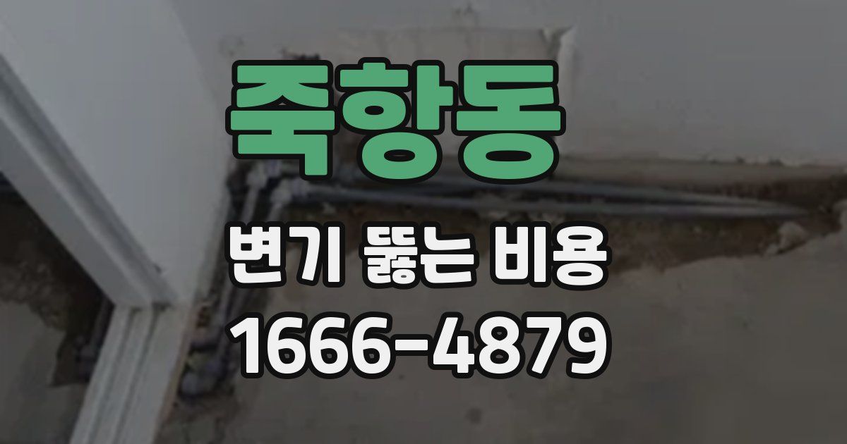 죽항동 변기 뚫는 비용