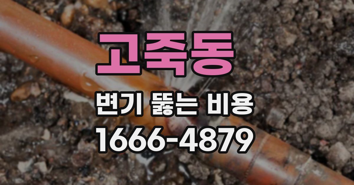 고죽동 변기 뚫는 비용