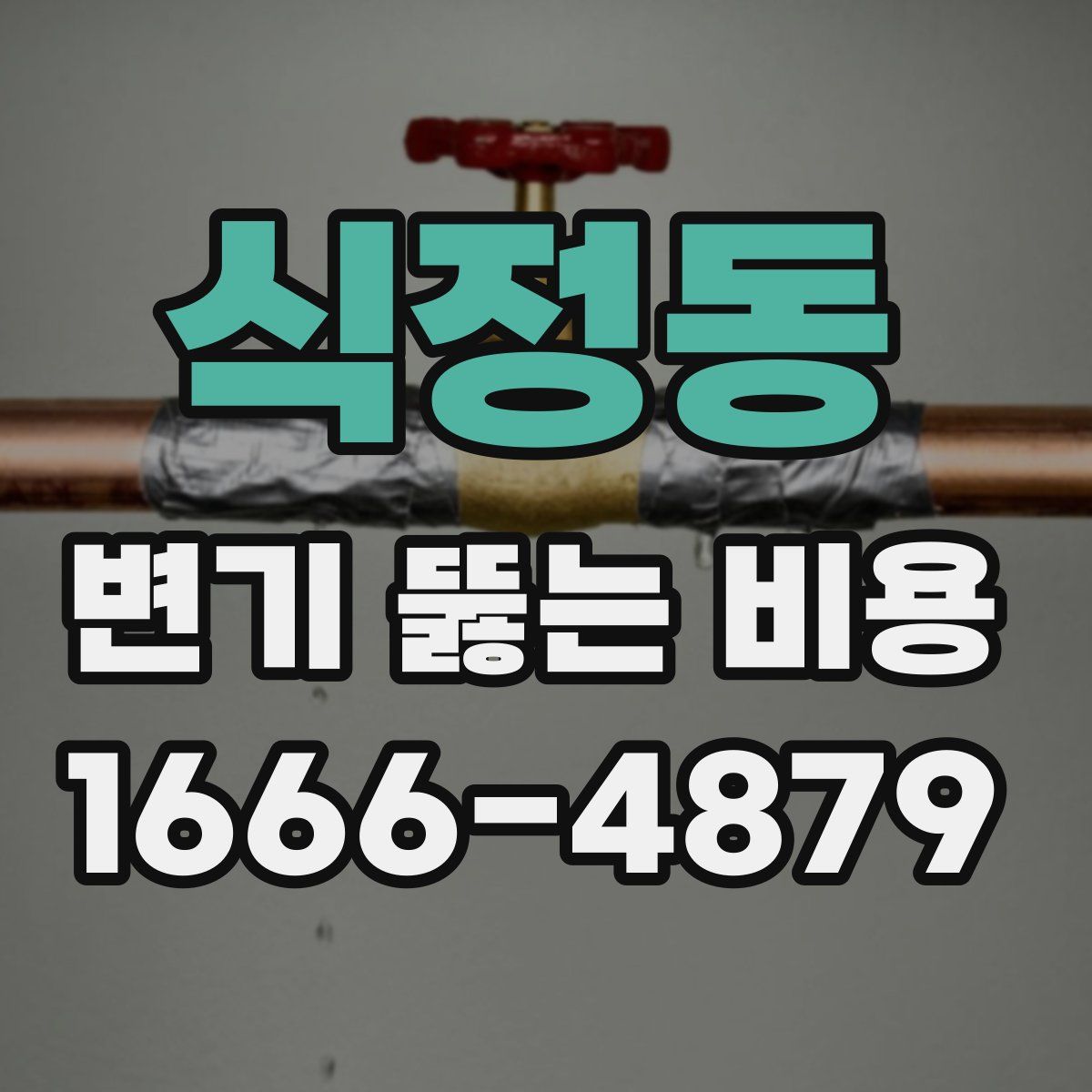 식정동 변기 뚫는 비용