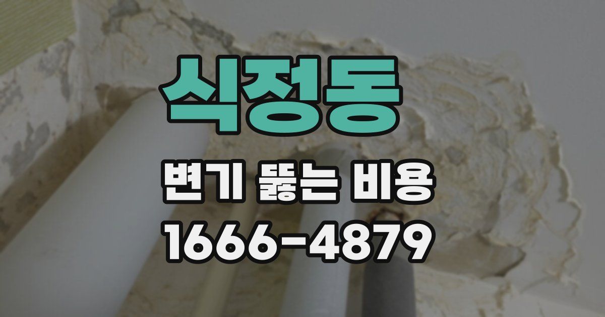 식정동 변기 뚫는 비용