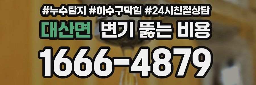 대산면 변기 뚫는 비용