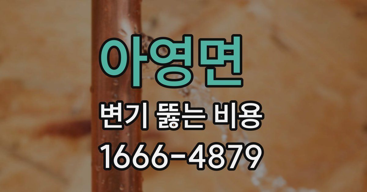아영면 변기 뚫는 비용