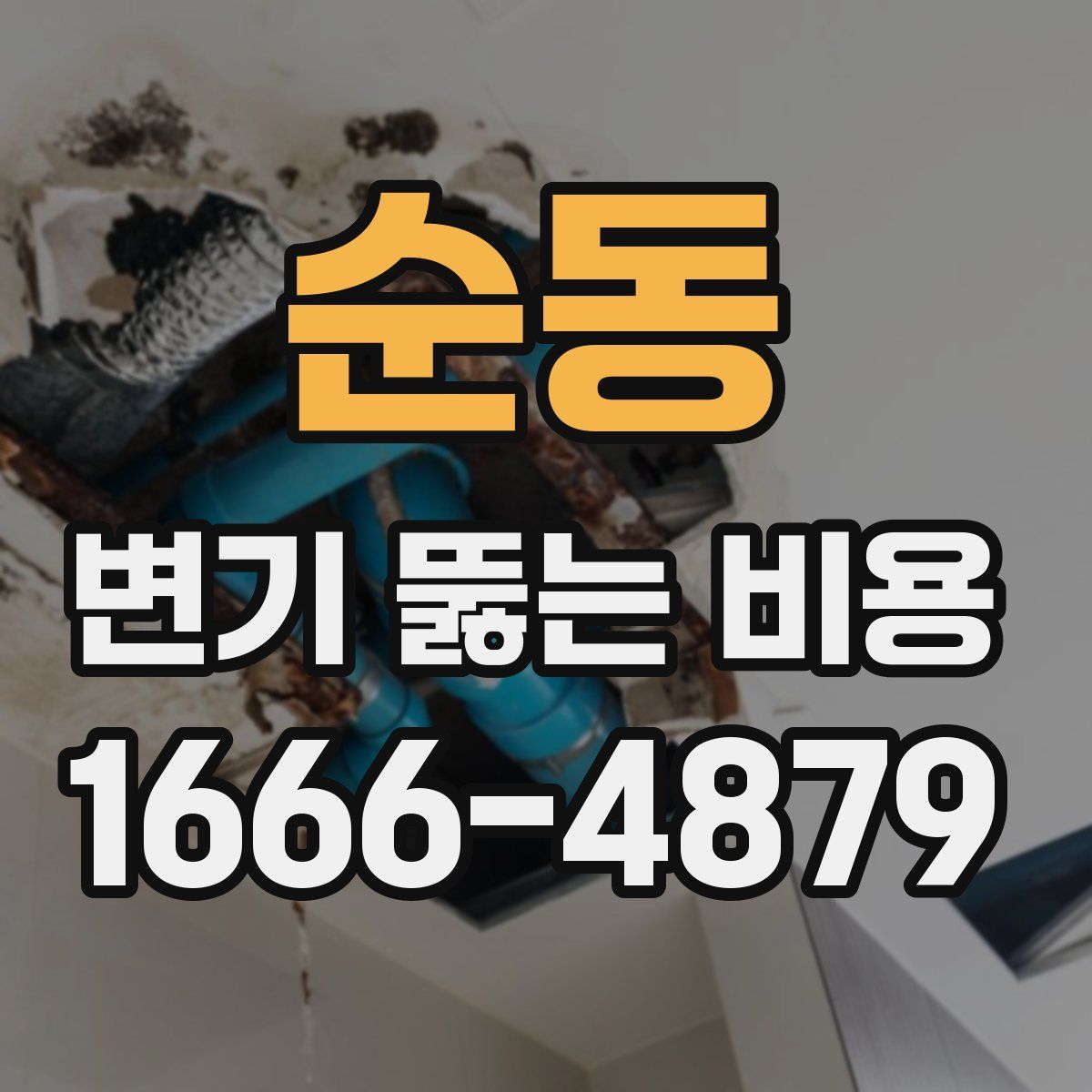 순동 변기 뚫는 비용