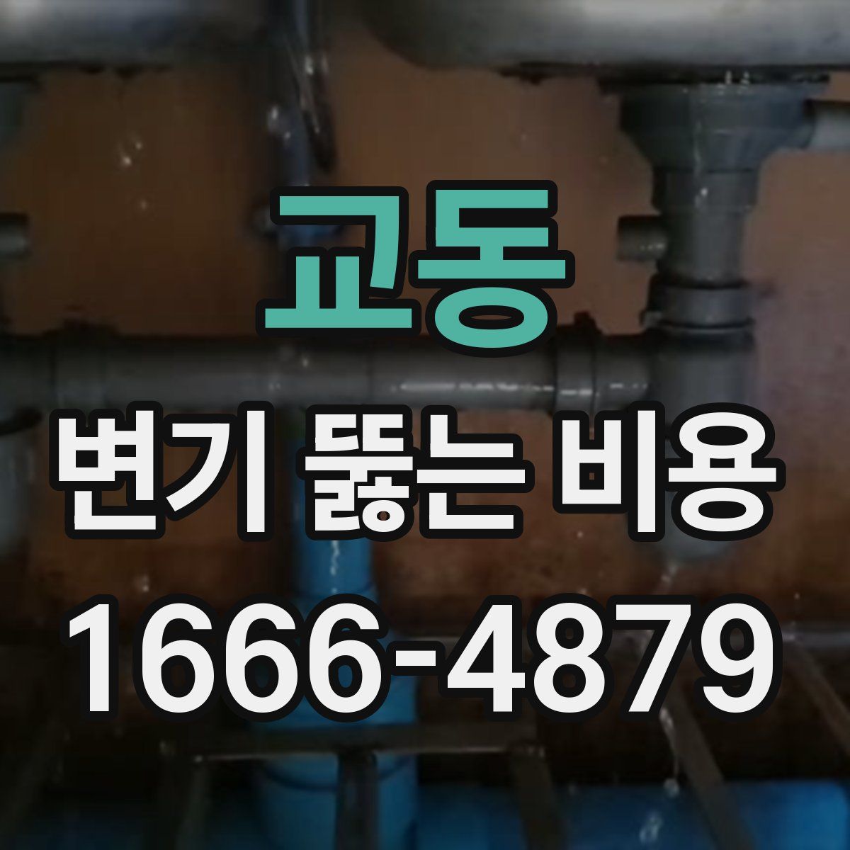 교동 변기 뚫는 비용