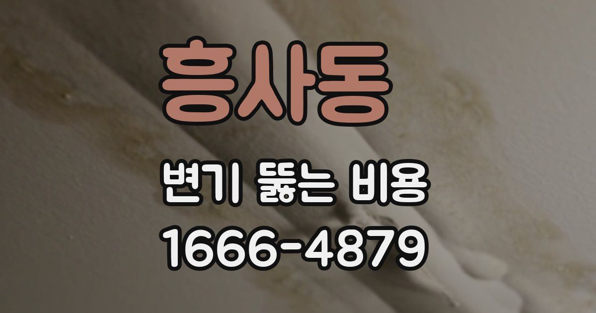 흥사동 변기 뚫는 비용