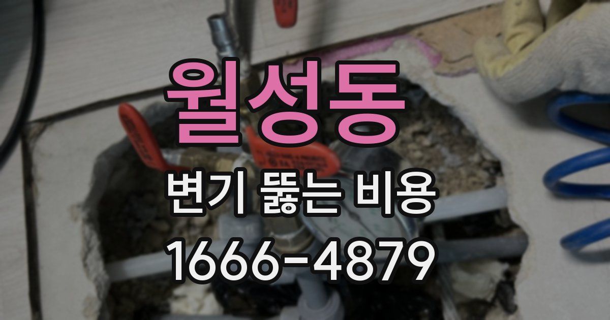 월성동 변기 뚫는 비용