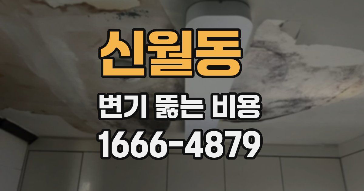 신월동 변기 뚫는 비용