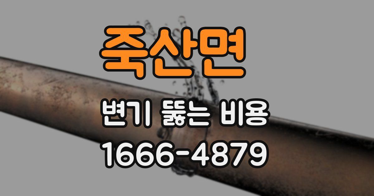 죽산면 변기 뚫는 비용