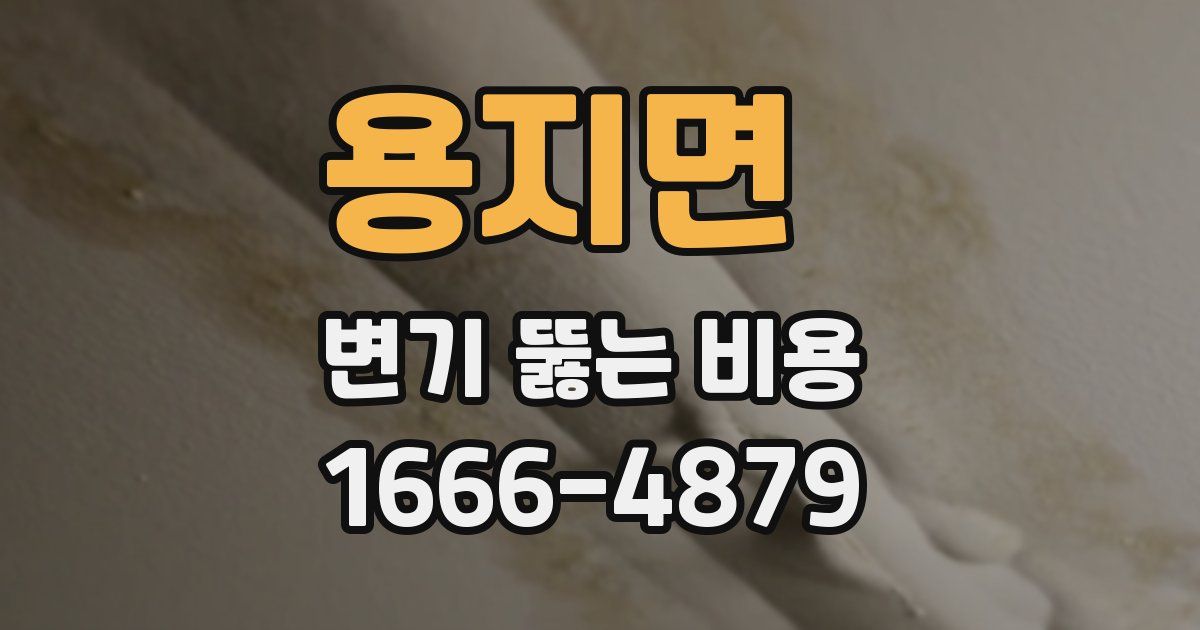용지면 변기 뚫는 비용