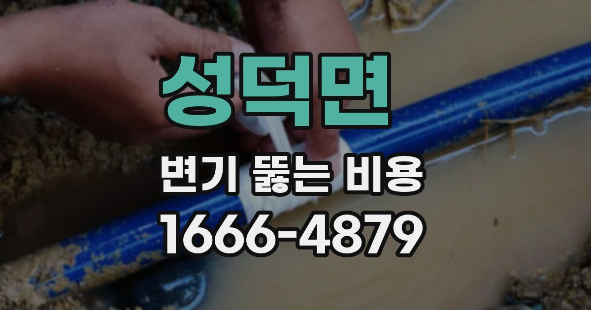 성덕면 변기 뚫는 비용
