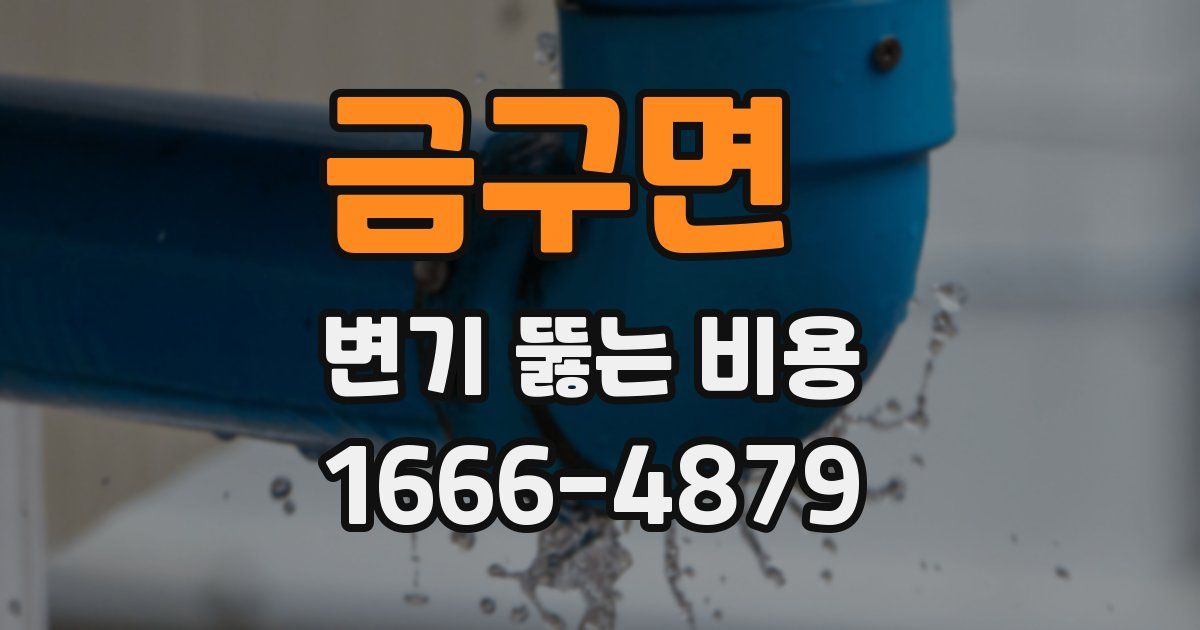 금구면 변기 뚫는 비용