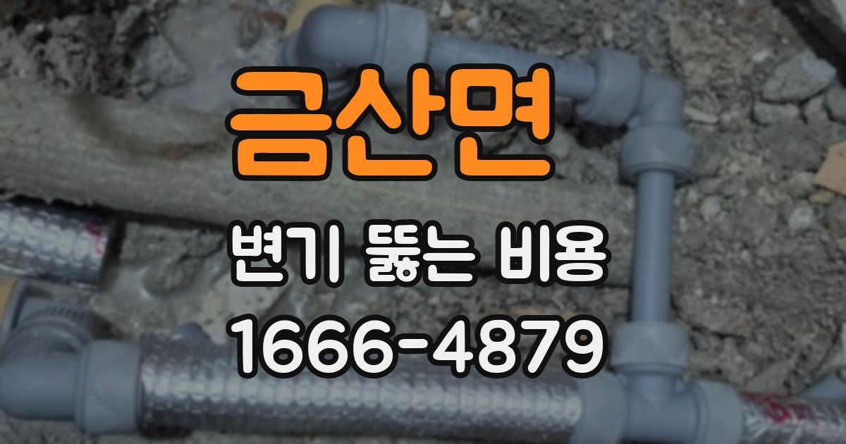 금산면 변기 뚫는 비용