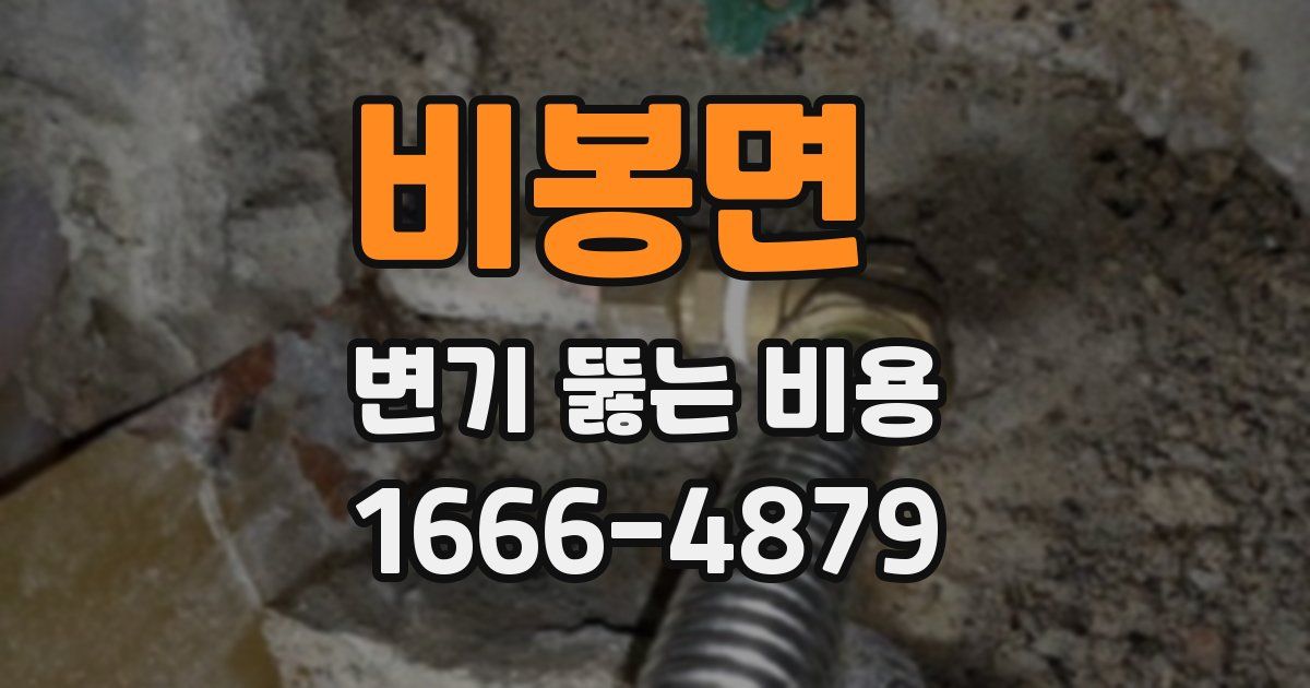비봉면 변기 뚫는 비용