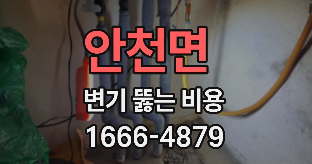 안천면 변기 뚫는 비용