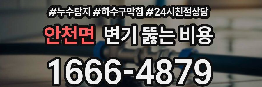 안천면 변기 뚫는 비용
