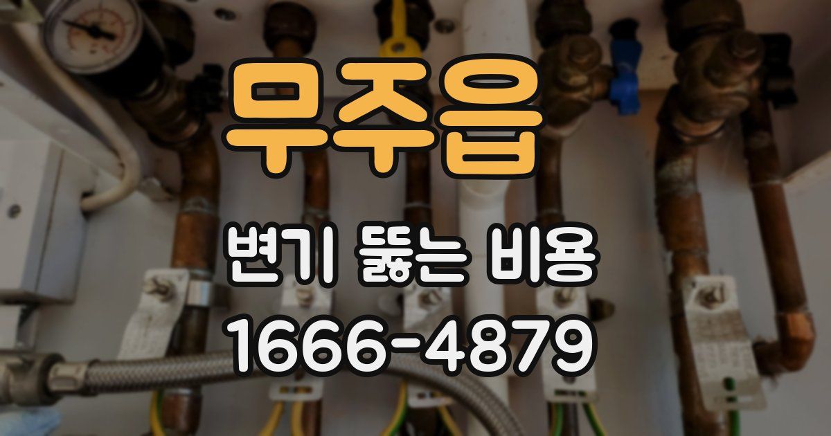 무주읍 변기 뚫는 비용