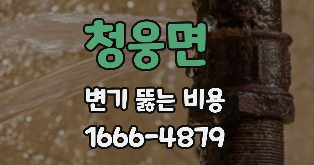 청웅면 변기 뚫는 비용