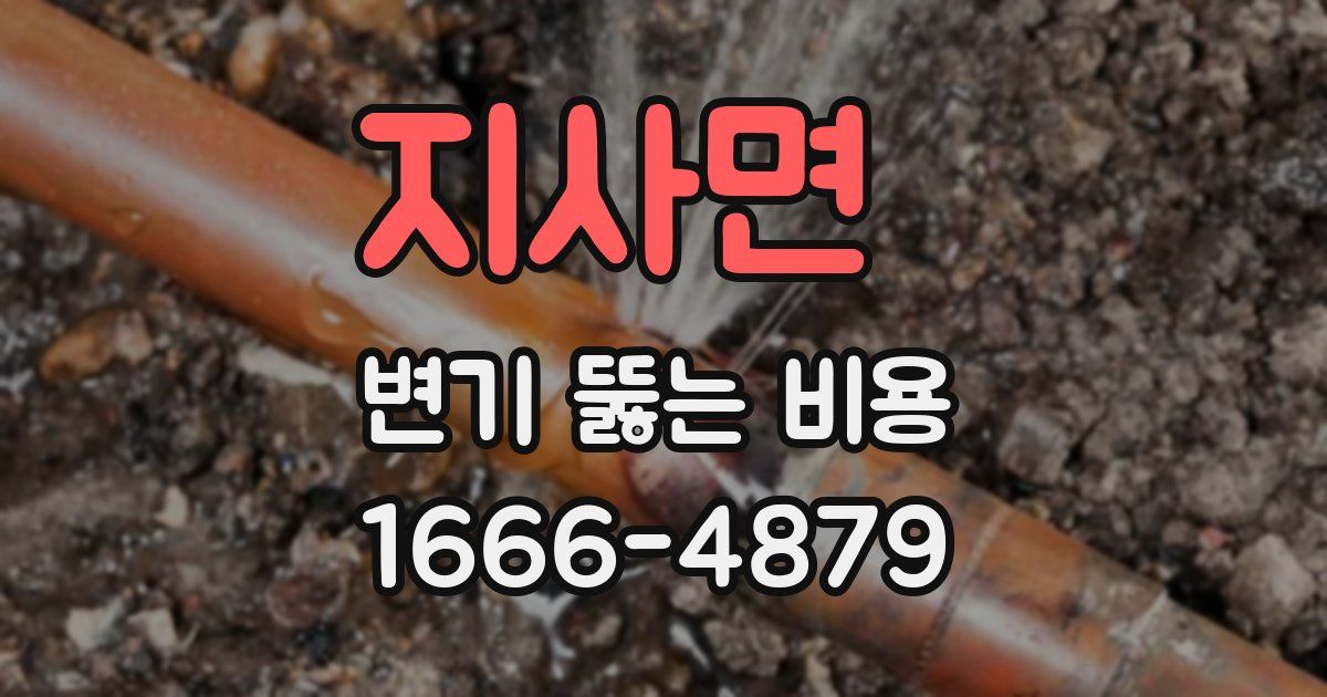 지사면 변기 뚫는 비용