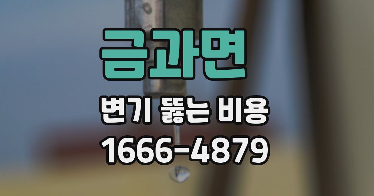 금과면 변기 뚫는 비용