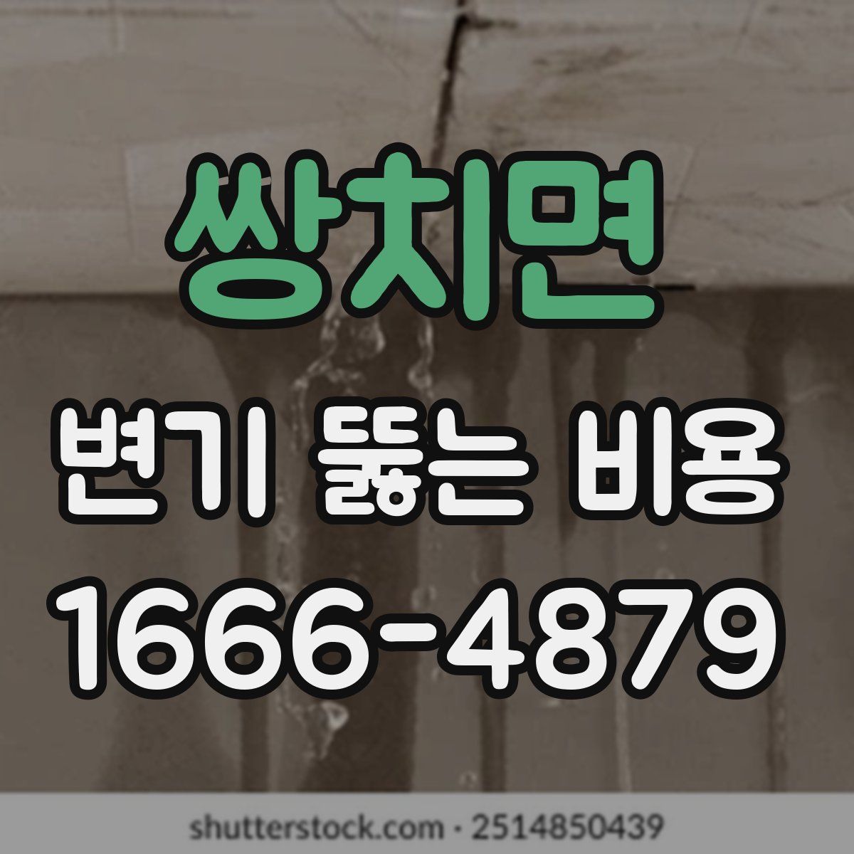 쌍치면 변기 뚫는 비용