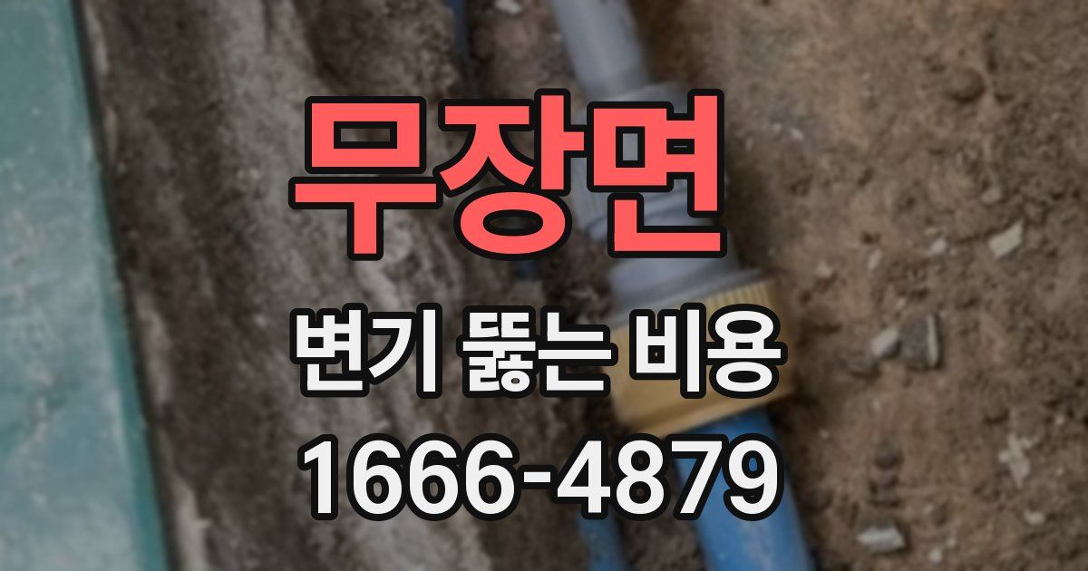 무장면 변기 뚫는 비용
