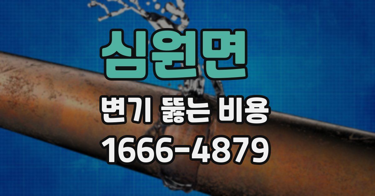 심원면 변기 뚫는 비용