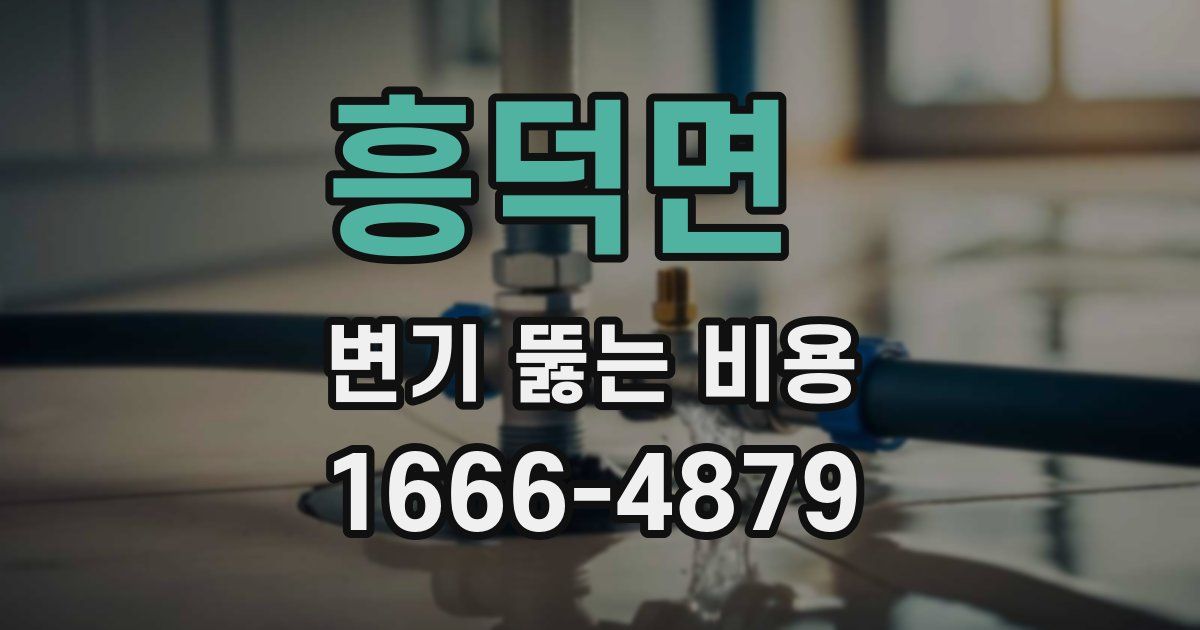 흥덕면 변기 뚫는 비용