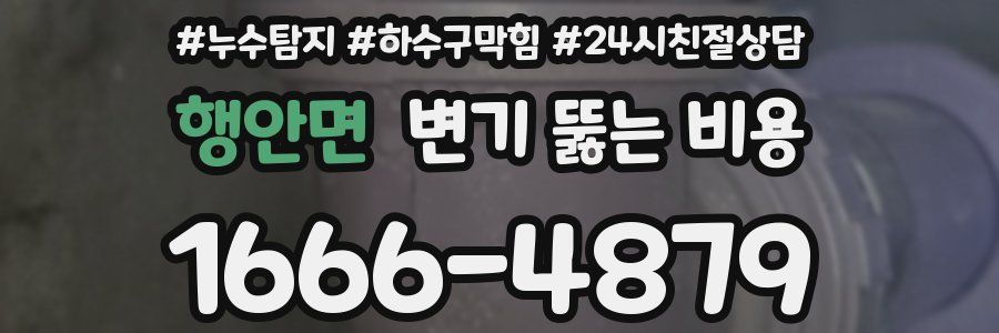 행안면 변기 뚫는 비용