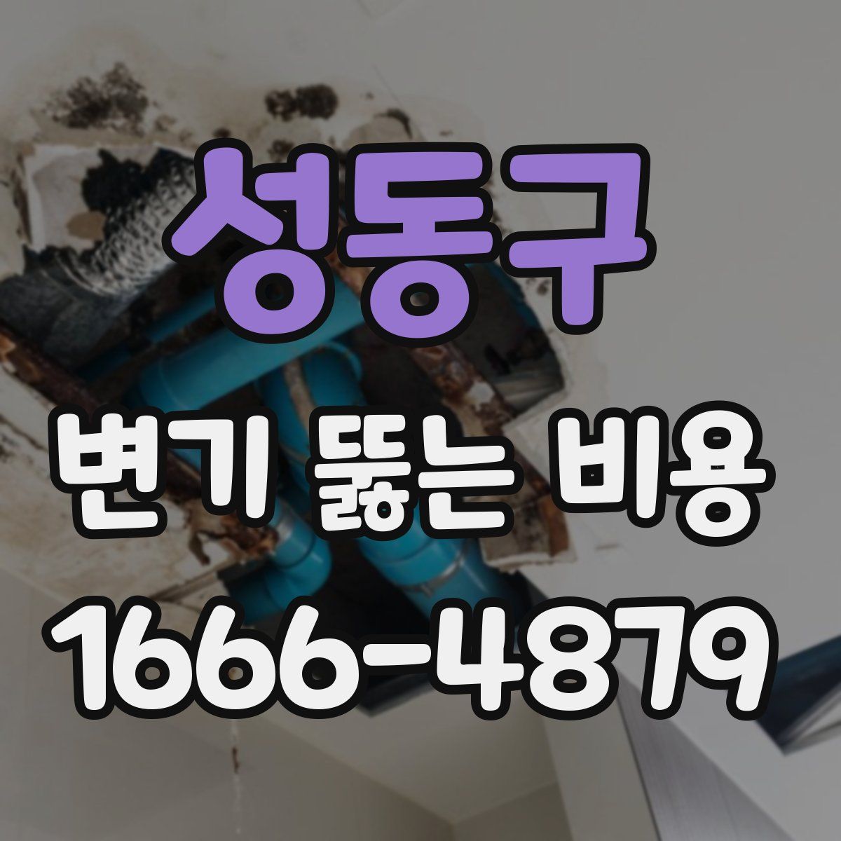 성동구 변기 뚫는 비용