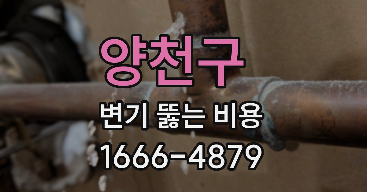 양천구 변기 뚫는 비용
