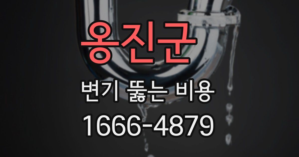 옹진군 변기 뚫는 비용