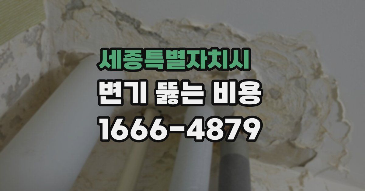 세종특별자치시 변기 뚫는 비용