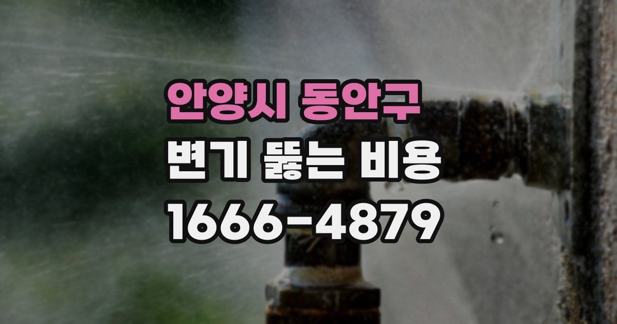 안양시 동안구 변기 뚫는 비용