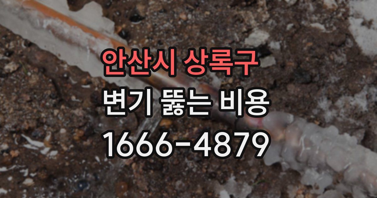 안산시 상록구 변기 뚫는 비용