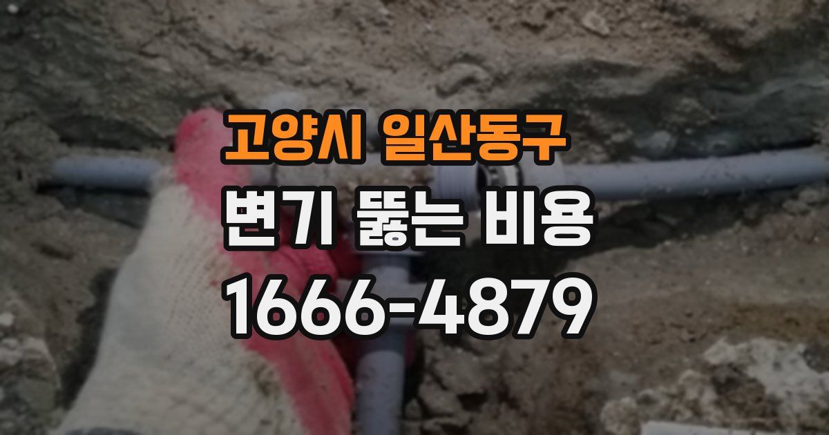 고양시 일산동구 변기 뚫는 비용