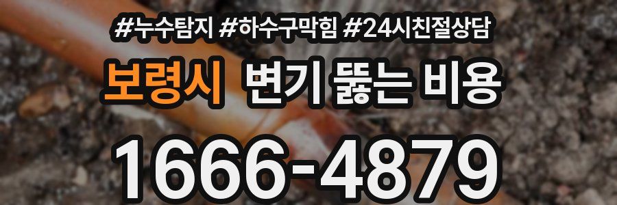 보령시 변기 뚫는 비용