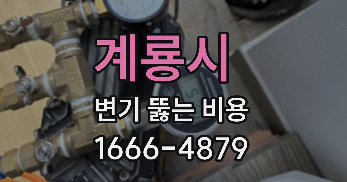 계룡시 변기 뚫는 비용
