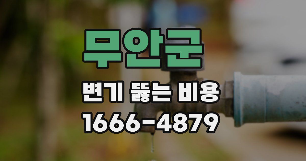 무안군 변기 뚫는 비용