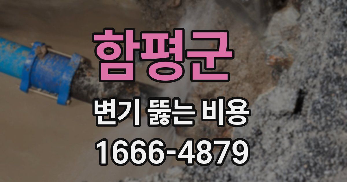 함평군 변기 뚫는 비용