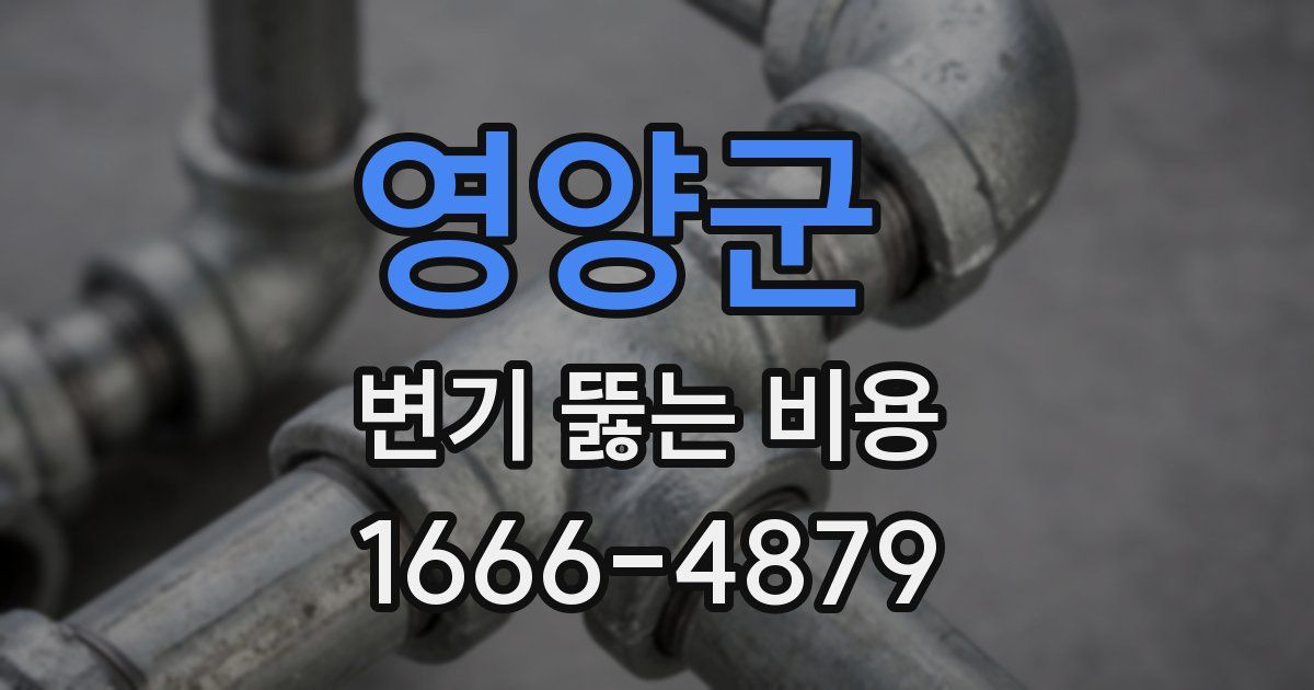 영양군 변기 뚫는 비용