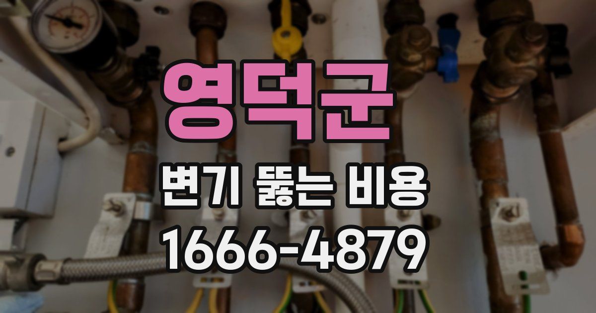 영덕군 변기 뚫는 비용