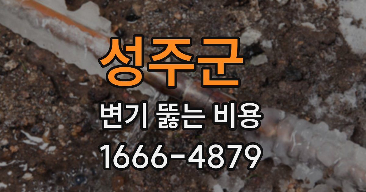 성주군 변기 뚫는 비용