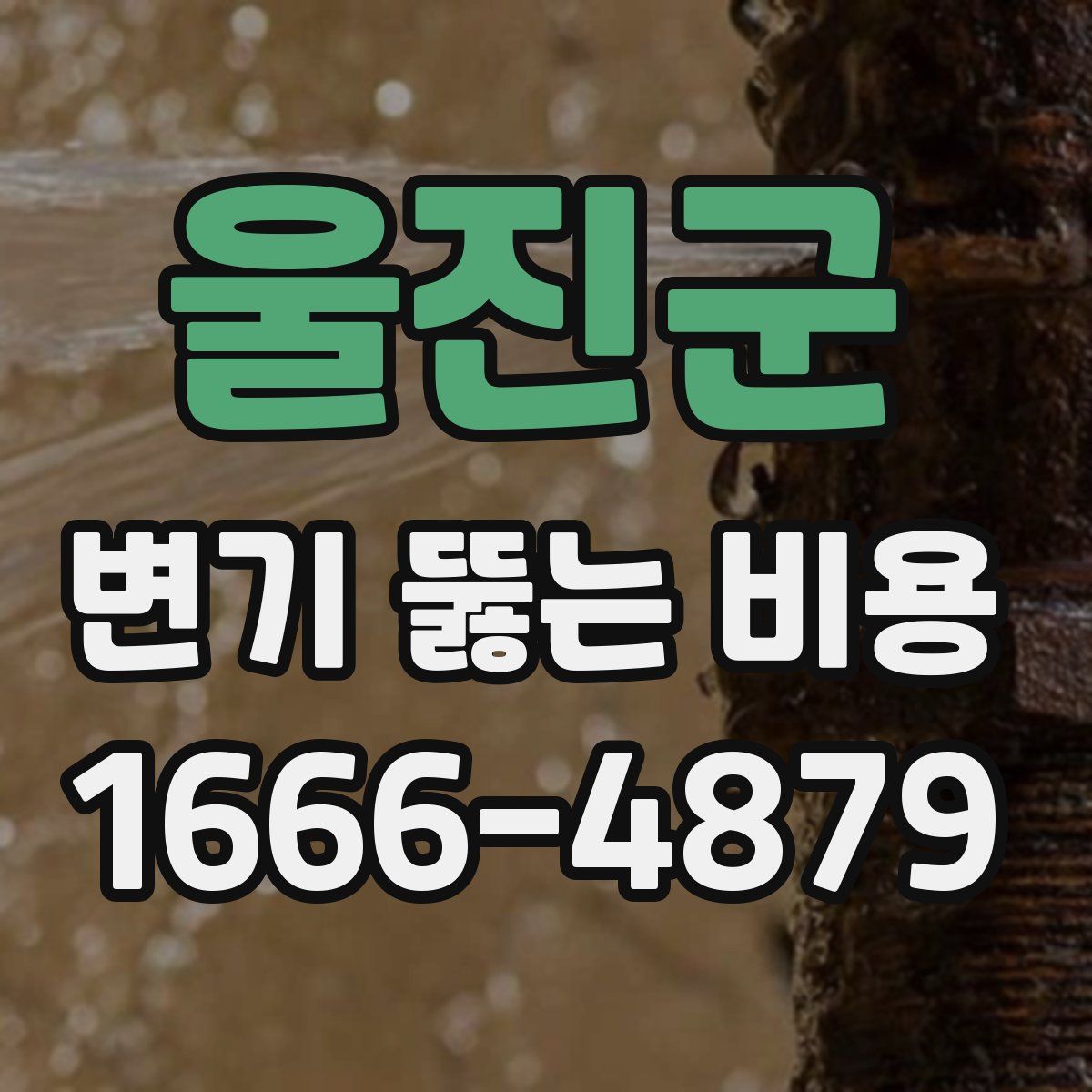 울진군 변기 뚫는 비용