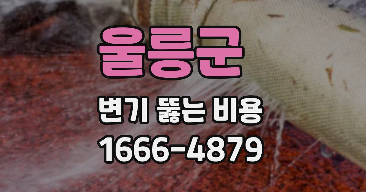 울릉군 변기 뚫는 비용