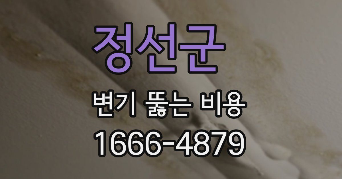 정선군 변기 뚫는 비용