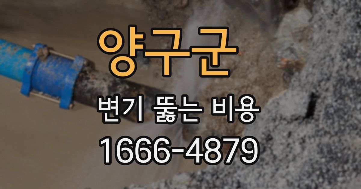양구군 변기 뚫는 비용