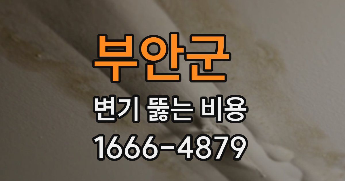 부안군 변기 뚫는 비용