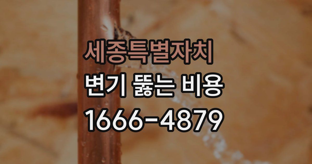 세종특별자치 변기 뚫는 비용