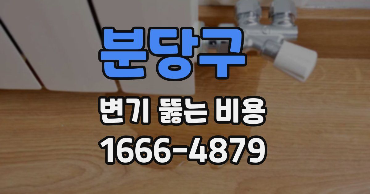 분당구 변기 뚫는 비용